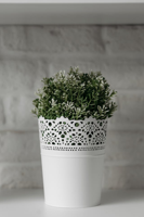 How to Shop for High-Quality Artificial Plants: A Comprehensive Guide