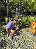 What Are the Craziest Colorado Landscaping Styles?