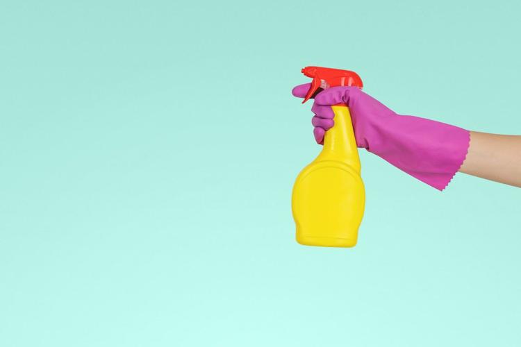 5 Ways to Halt Bedbugs in Their Tracks