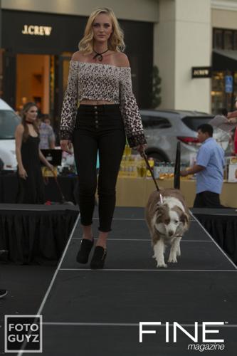 Photos by Will Grayson of Foto Guyz