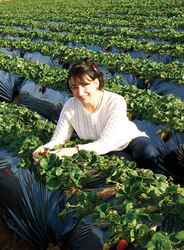 Maria Desiderata Montana give us a FINE Recipe