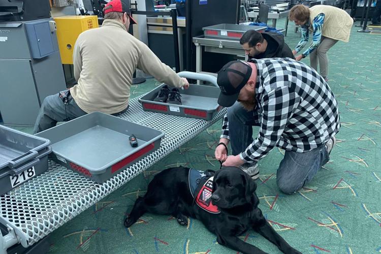 Traveling with a Service Dog: A Veteran's Guide to Flying Prepared