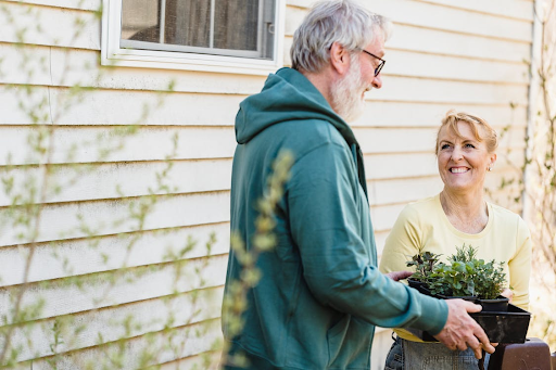 7 Popular Plants for Gardeners: A Guide to Diverse and Reliable Choices