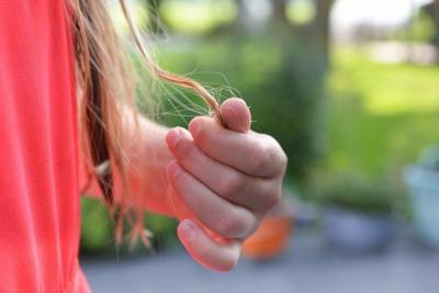 How to Control Hair Fall? 5 Tips That Work Like a Charm