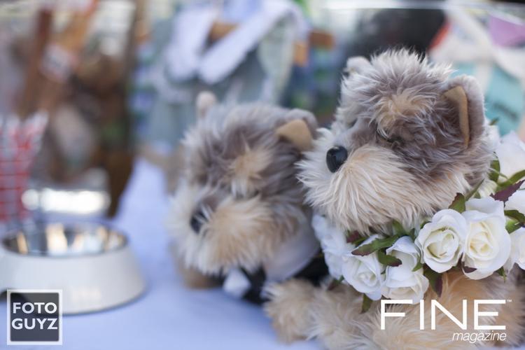 Photos by Will Grayson of Foto Guyz