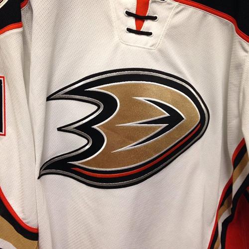 Why the San Diego Gulls Matter