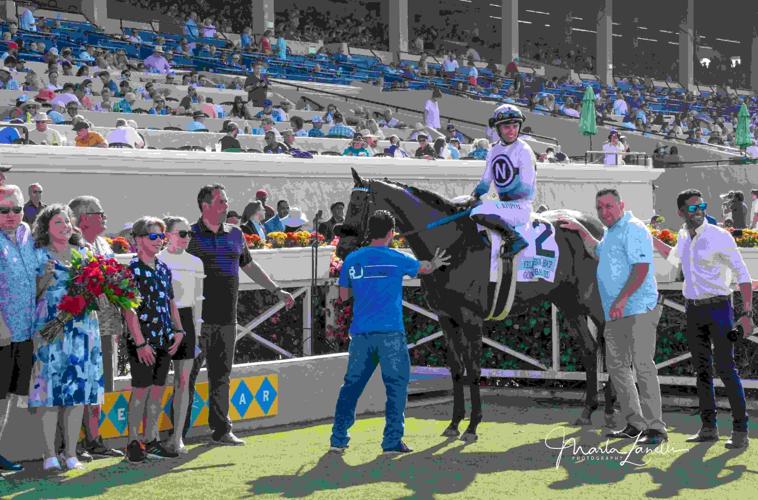 thoroughbred racehorse racing at te Del Mar racetrack