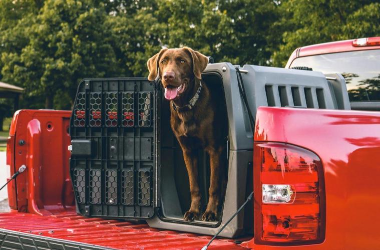 Maximizing Utility: How Tonneau Covers Transform Your Truck’s Bed