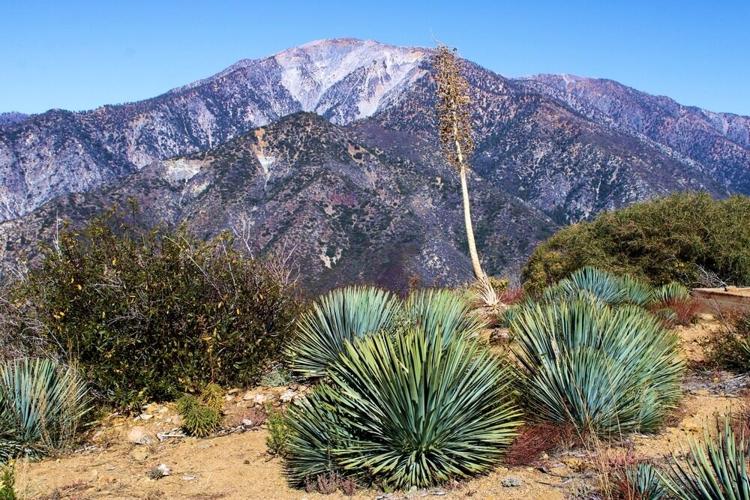 A Journey Through Southern California’s Most Captivating Trails