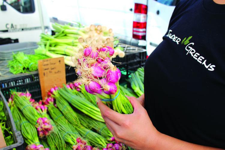 Tender Greens Offers Delicious, Healthy Food