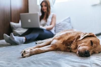 5 Signs That You Need Air Conditioner Repair