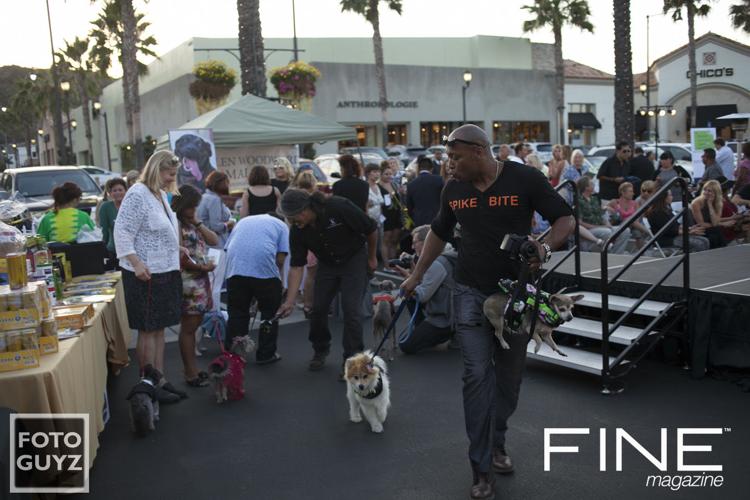 Photos by Will Grayson of Foto Guyz