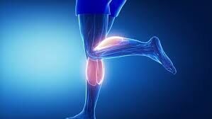 Calf Muscle Pulling: A Comprehensive Guide About Causes, Treatment, Recovery, and Prevention
