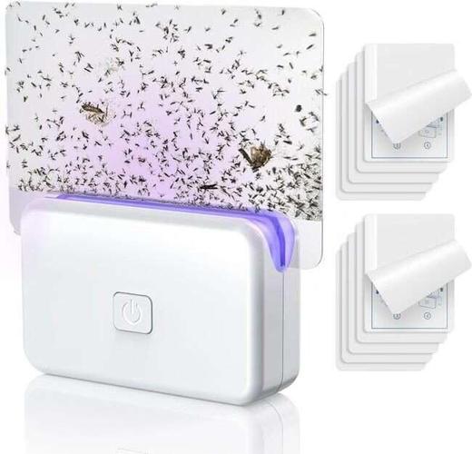 The 10 Best Gnat Killers to Eliminate Fungus Gnats for Good