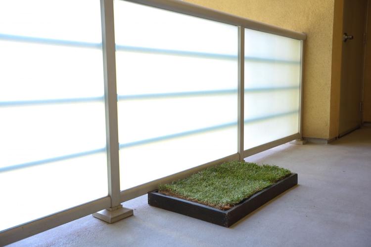 Urban Dog Solutions: A Superior Product