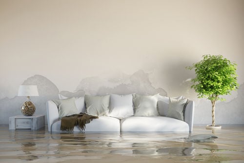Tips to Find a Water Fire Damage Restoration Ann Arbor MI Business for Your Needs