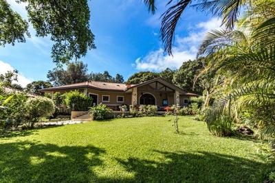 Year-Round Care Tips for a Beautiful Lawn