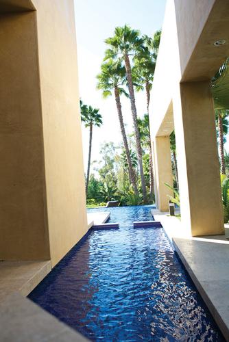 Contemporary Reflection