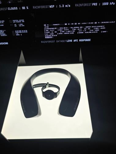 Inside DATALAND Los Angeles and the New Age of AI Art