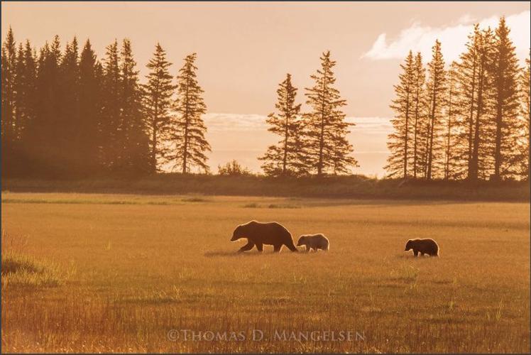 Sorting through the Finest Art Galleries of La Jolla, California