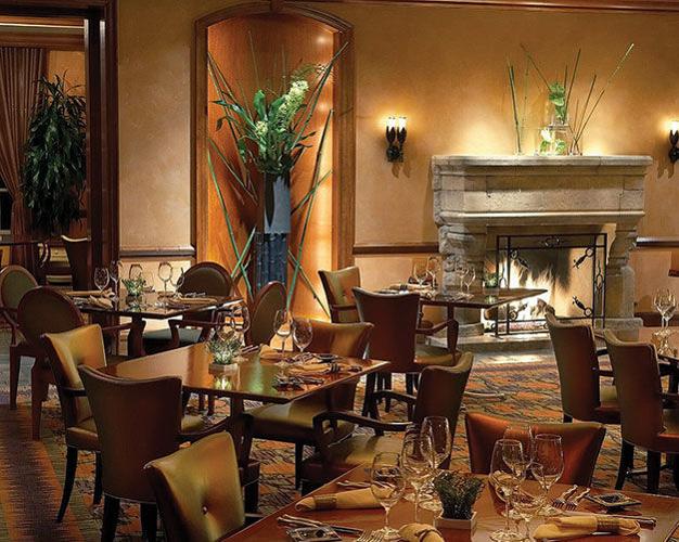 Vivace Review