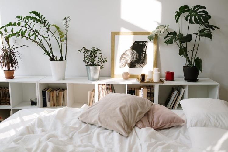 Bed with gorgeous white linens and room filled with plants