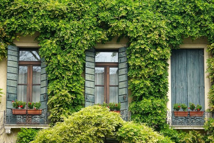 Three beautiful balcony windows framed in greenery offer a peaceful retreat