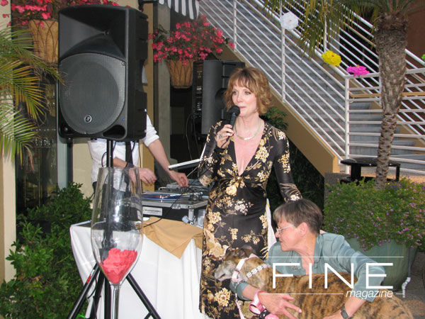 La Femme Chic 1 Year Anniversary