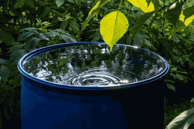Rainwater Tanks