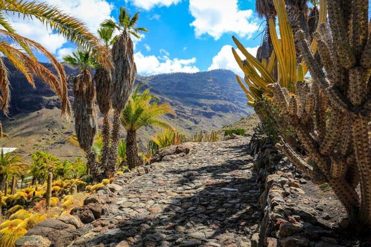 A Journey Through Southern California’s Most Captivating Trails