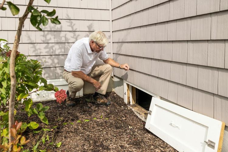 The Premium Guide to Mold Prevention at Home