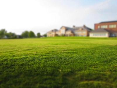 Use Lawn Fertilizer for Healthy Grass
