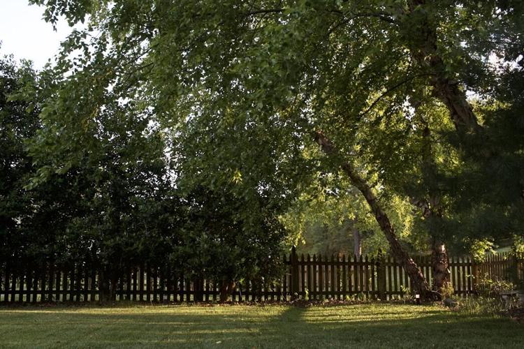 8 Must-Have Tools for Backyard Treasure Hunting
