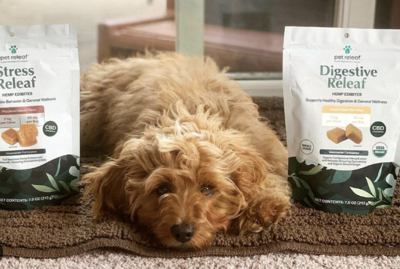 Support Your Dog’s Emotional Wellness with Soothing CBD Chews Daily