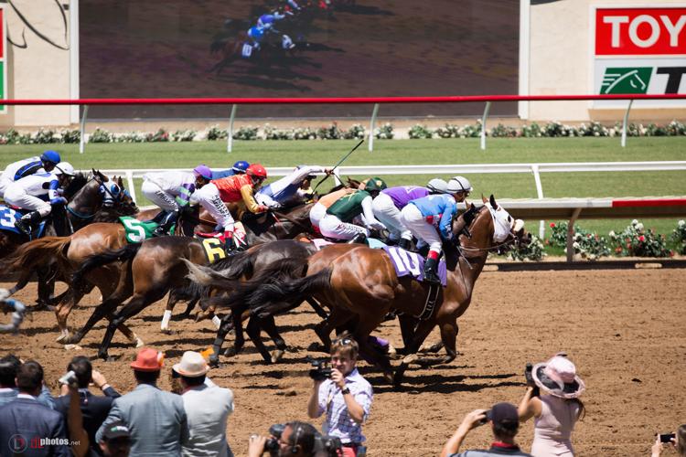 Del Mar Racetrack Photos