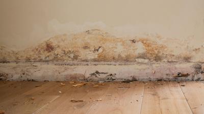 Rising Damp