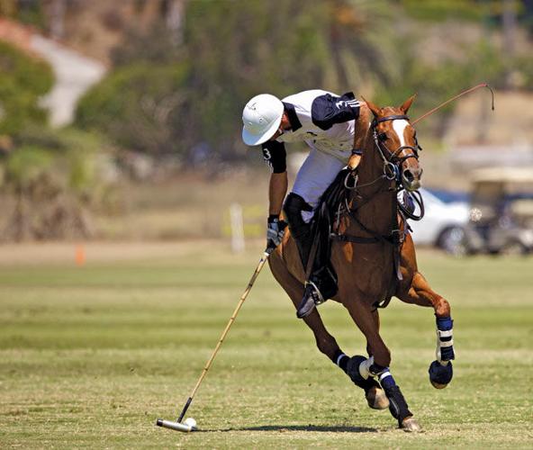 San Diego's Polo Scene Trots to the Top