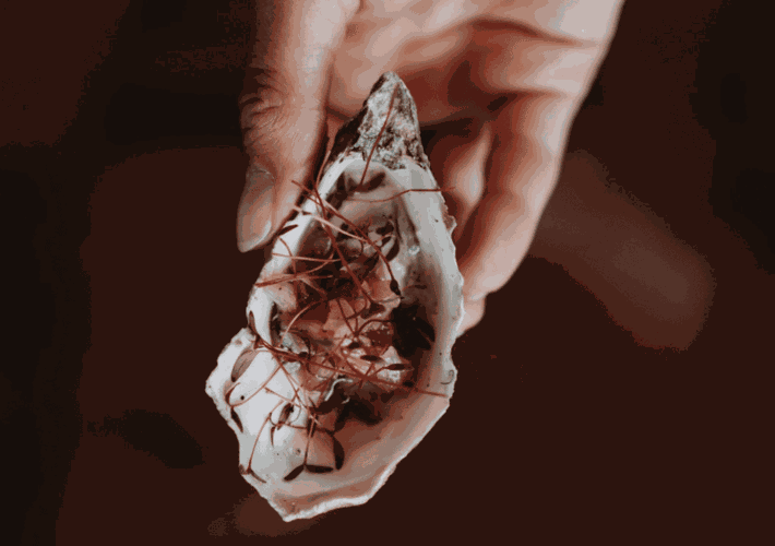 A Gourmet Weekend Paradise Awaits in the Amsterdam Forest