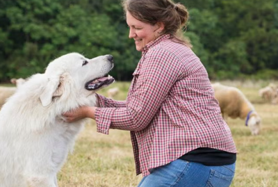 Helpful Resources Every Responsible Pet Owner Should Explore