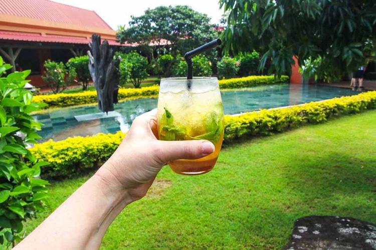 Expert Ways You Can Keep your Backyard In Top Condition