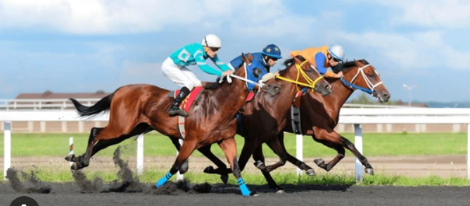 5 Reasons the Track Matters for Horse Race Betting