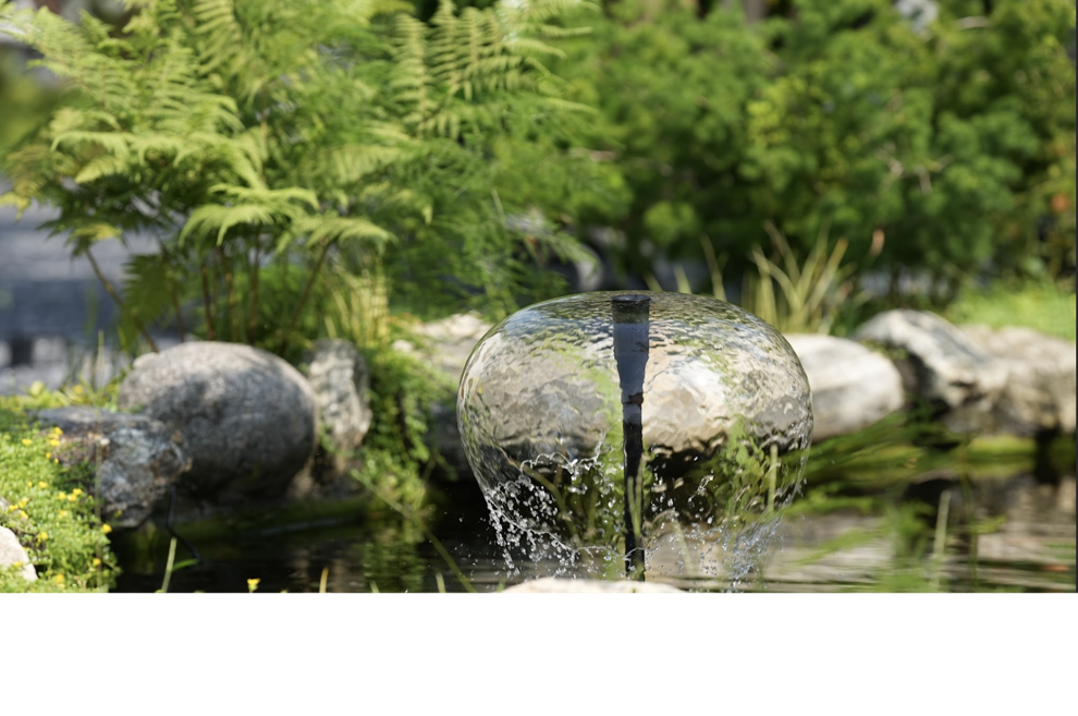 Fine Homes and Living Feature