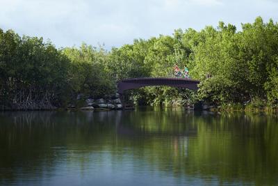 Banyan Tree Mayakoba a Luxury Resort Riviera Maya on the Northeastern Yucatan Peninsula