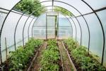 How to Create a Backyard Pollinator Waystation That's Eco-Chic and Totally DIY