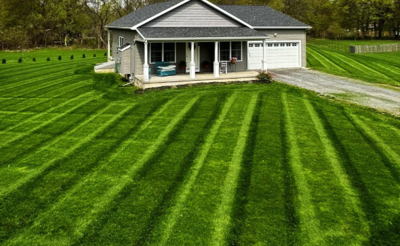 Why Experts Predict a Surge in Lawn Care Demand