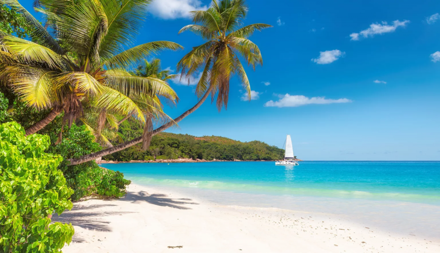 2026 FIFA World Cup Travel Ideas for Fans Who Want More Than the Stadium