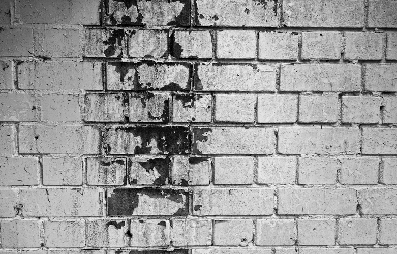 How to Identify and Eliminate Mold in Your Property