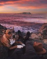 Health Benefits of Bringing a Dog into the Family