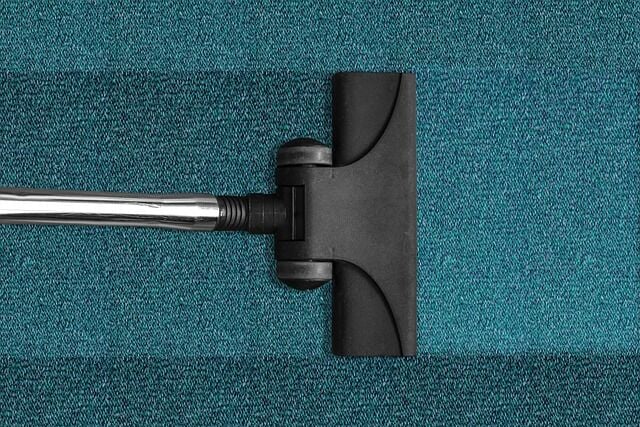 Reasons Why You Might Want to Hire a Professional Carpet Cleaner