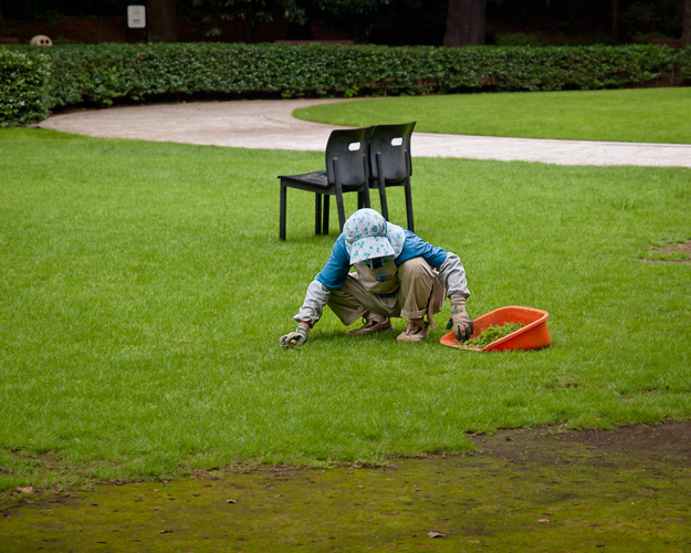 How To Remove Rocks From the Yard Before Mowing The Lawn (4)